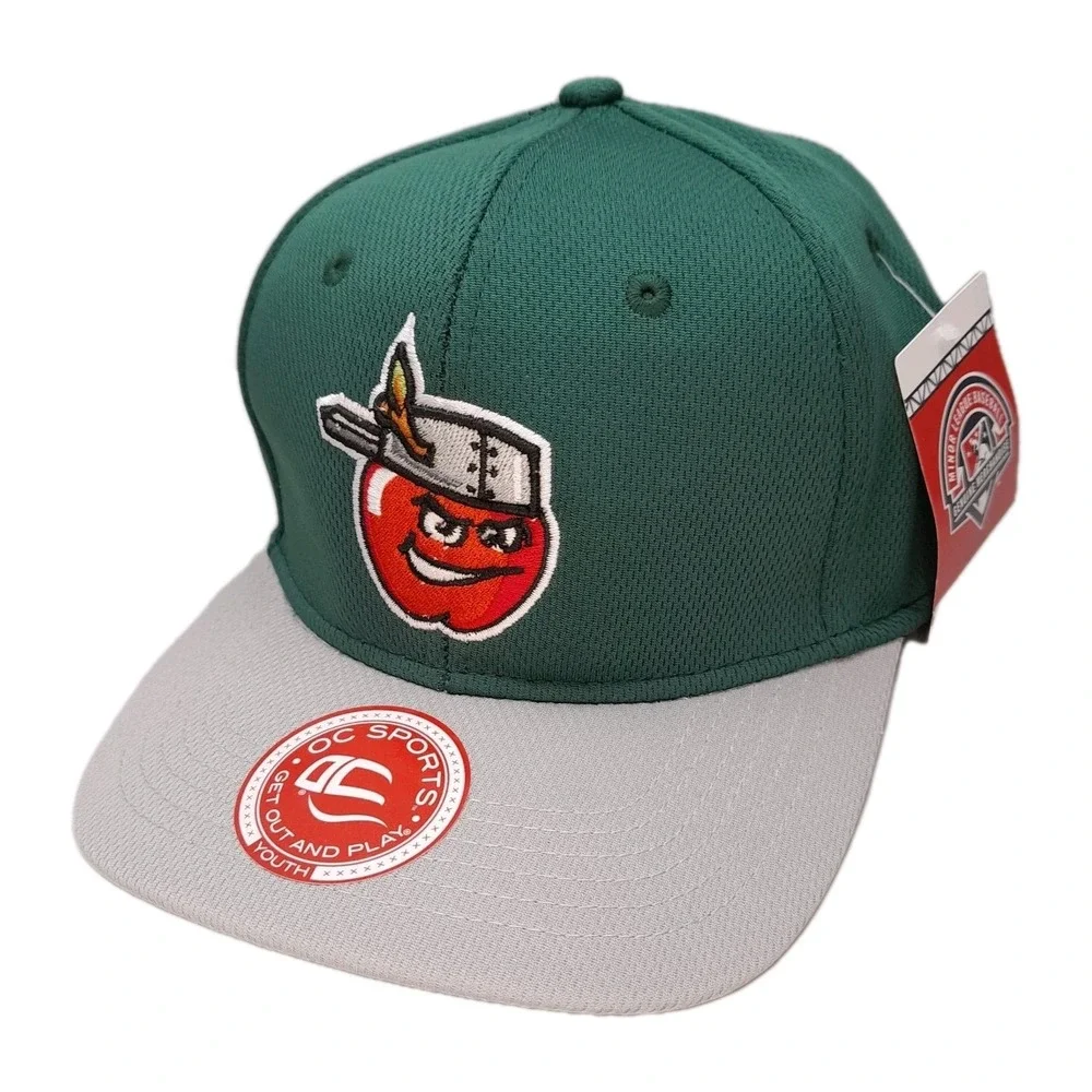 Fort Wayne Tincaps Youth Strapback Hat MILB Minor League Baseball Cap NWT